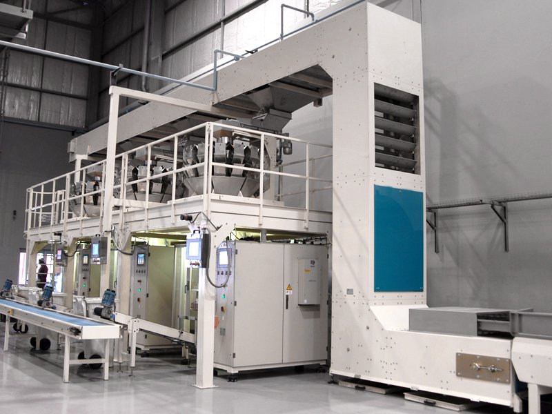 Pizeta_Bucket_Elevator_Conveyor