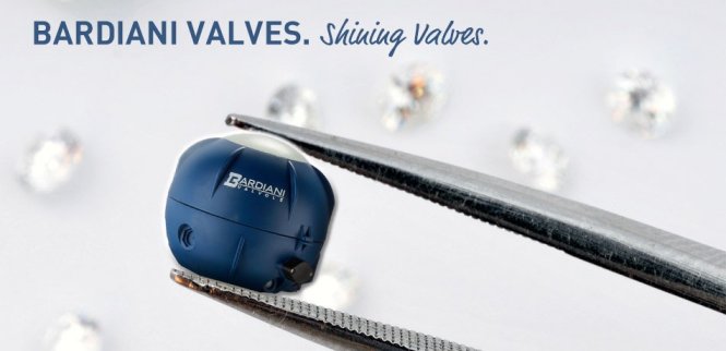 shining valves - Bardiani Valvole