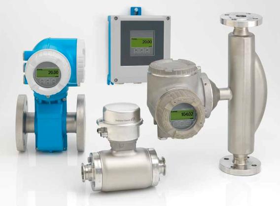 Proline 300/500 di endress+hauser